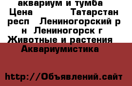 аквариум и тумба › Цена ­ 5 500 - Татарстан респ., Лениногорский р-н, Лениногорск г. Животные и растения » Аквариумистика   